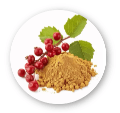 NeuroVera-Schisandra Fruit Extract