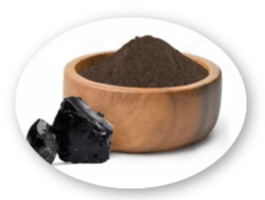 NeuroVera-Shilajit Extract